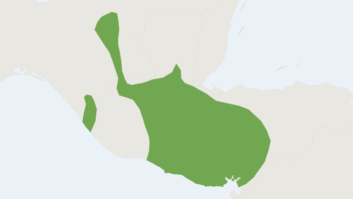 Range map of the Cloud Forest Rice Rat (Casiomys saturatior)