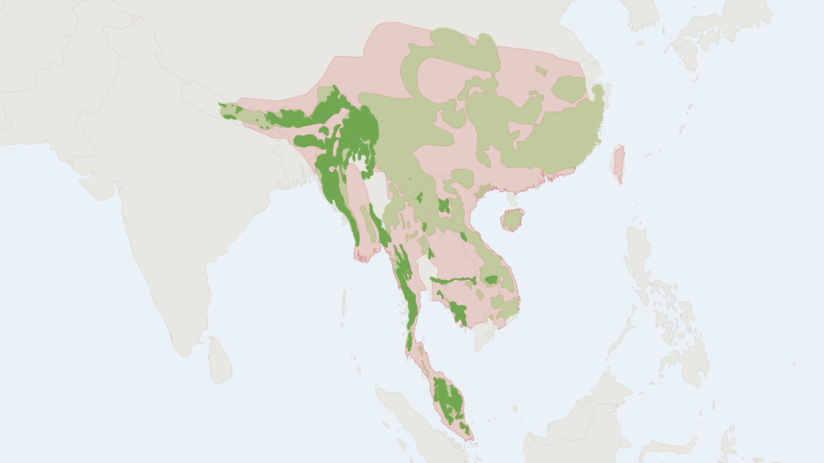 Range map of the Clouded Leopard (Neofelis nebulosa) covering Bhutan, Cambodia and China