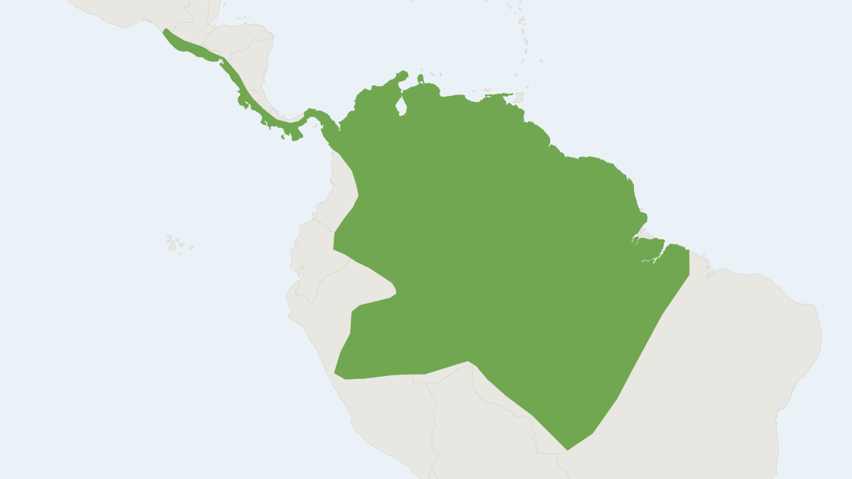 Range map of the Coiban Mastiff Bat (Molossus coibensis)