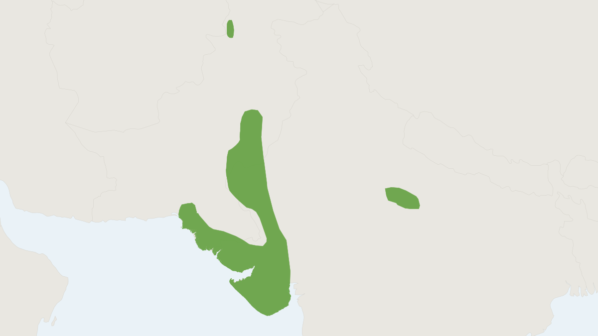 Range map of the Collared Hedgehog (Hemiechinus collaris)