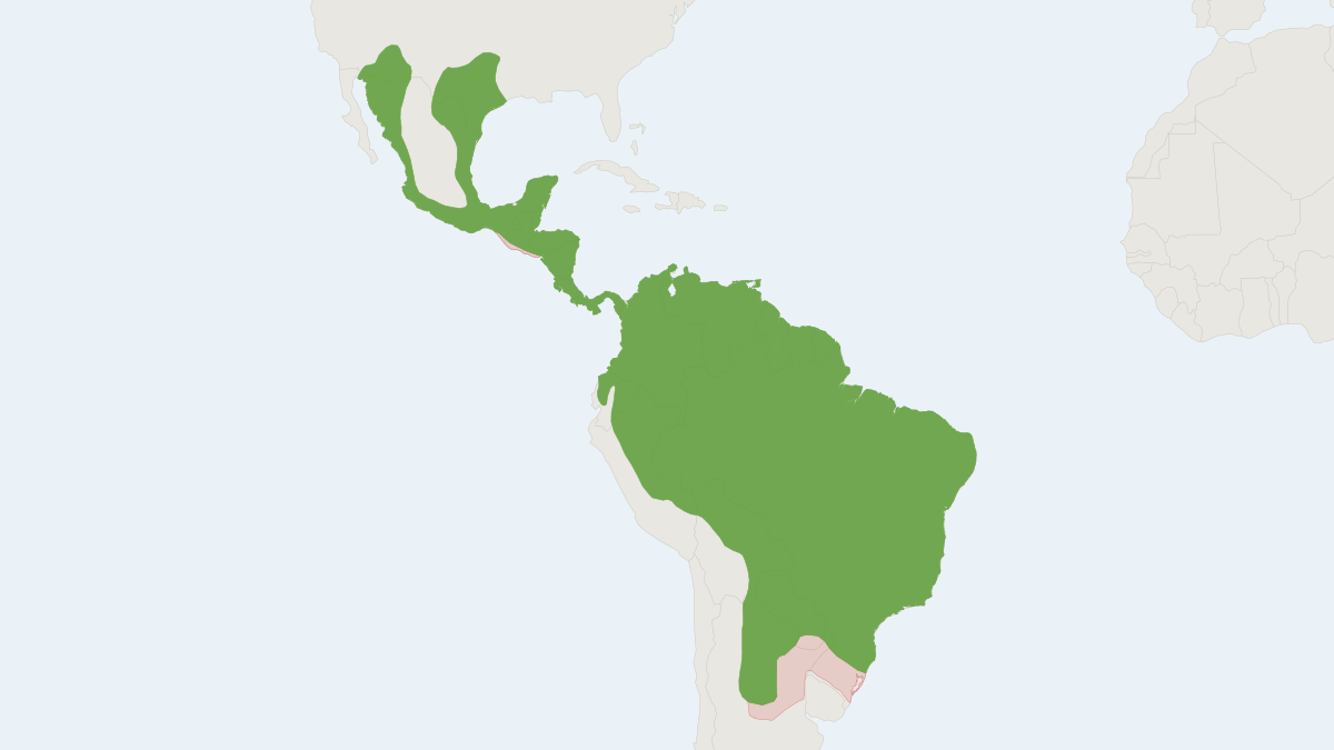 Range map of the Collared Peccary (Pecari tajacu) covering Argentina, Brazil and Colombia