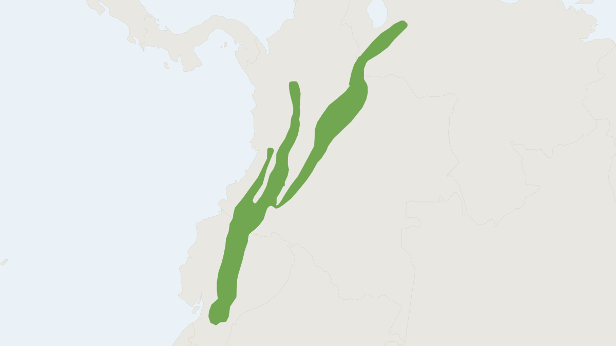Range map of the Colombian Forest Mouse (Chilomys instans) covering Colombia, Ecuador and Peru