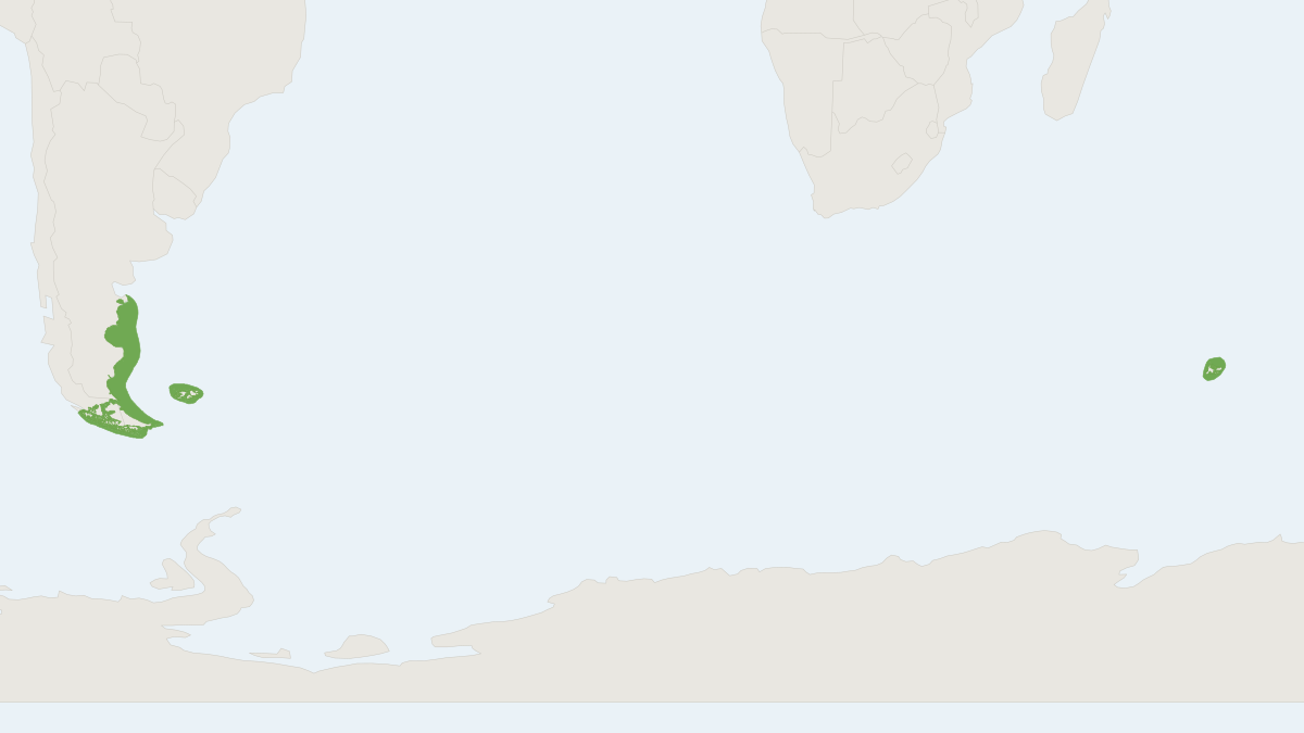 Range map of the Commerson's Dolphin (Cephalorhynchus commersonii) covering Argentina, Chile and Falkland Islands