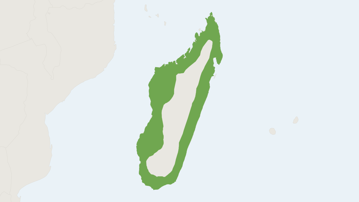 Range map of the Commerson's Leaf-nosed Bat (Macronycteris commersonii)