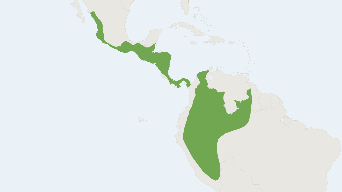 Range map of the Commissaris's Long-tongued Bat (Glossophaga commissarisi)