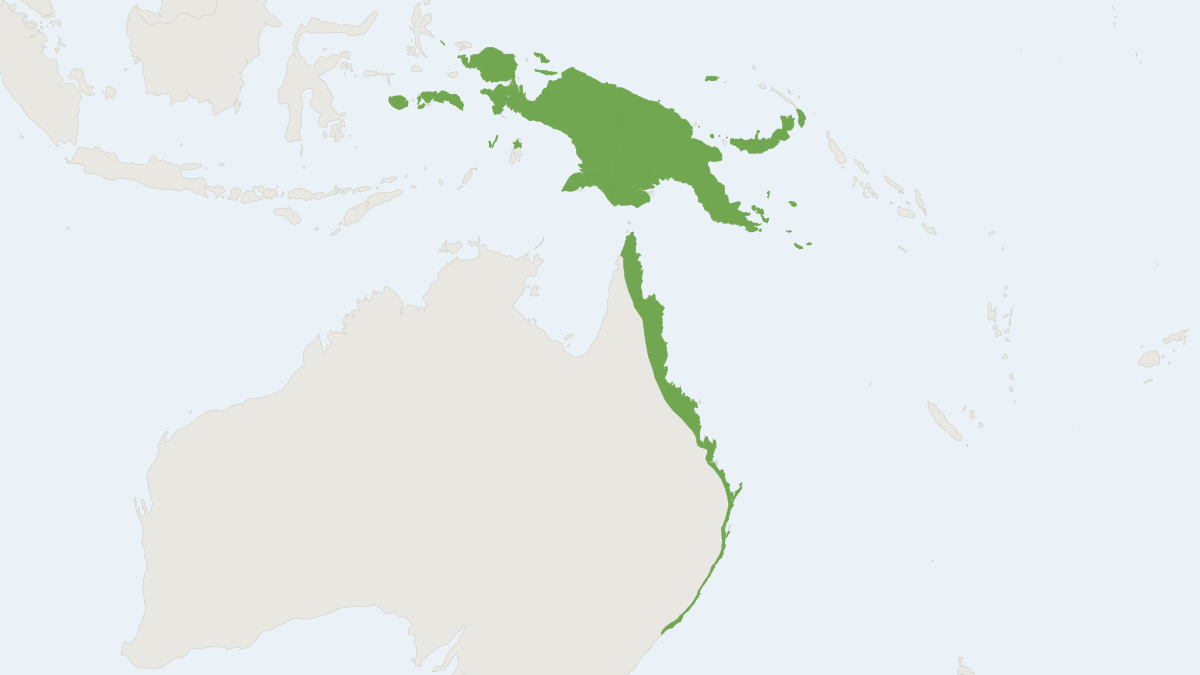 Range map of the Common Blossom Bat (Syconycteris australis)