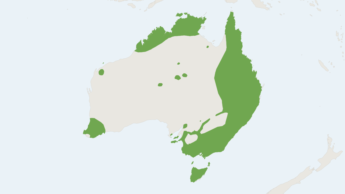 Range map of the Common Brush-tailed Possum (Trichosurus vulpecula)
