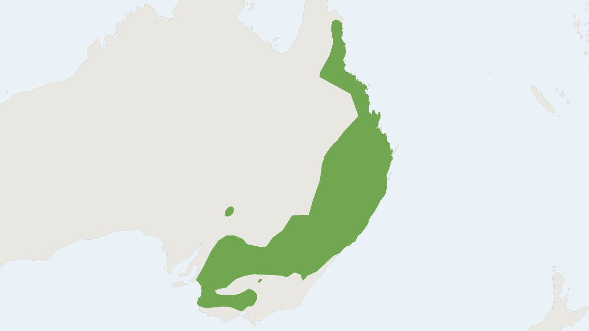 Range map of the Common Dunnart (Sminthopsis murina)