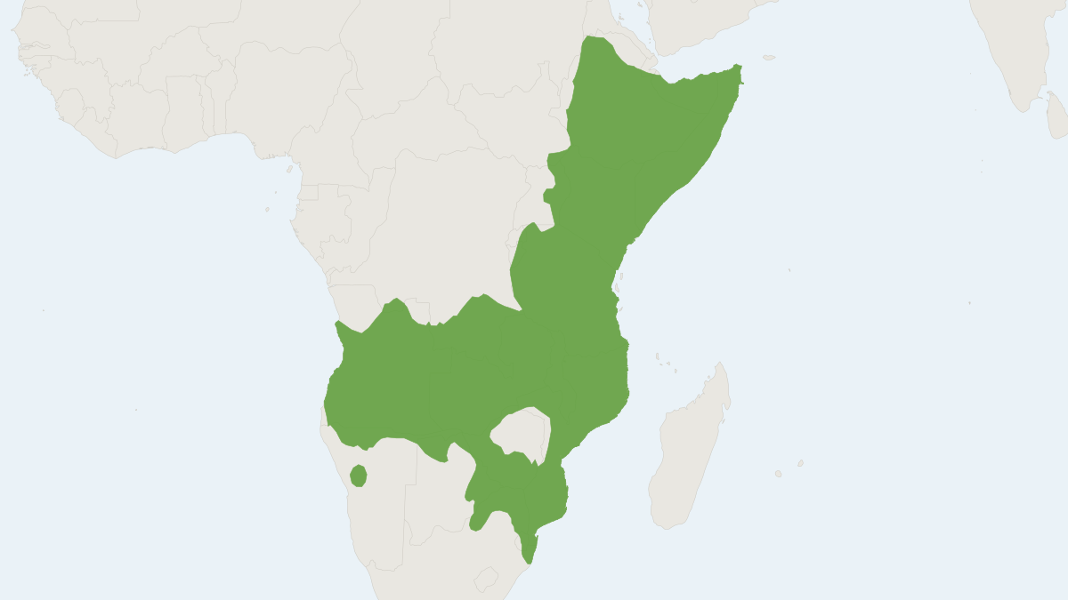 Range map of the Common Dwarf Mongoose (Helogale parvula)