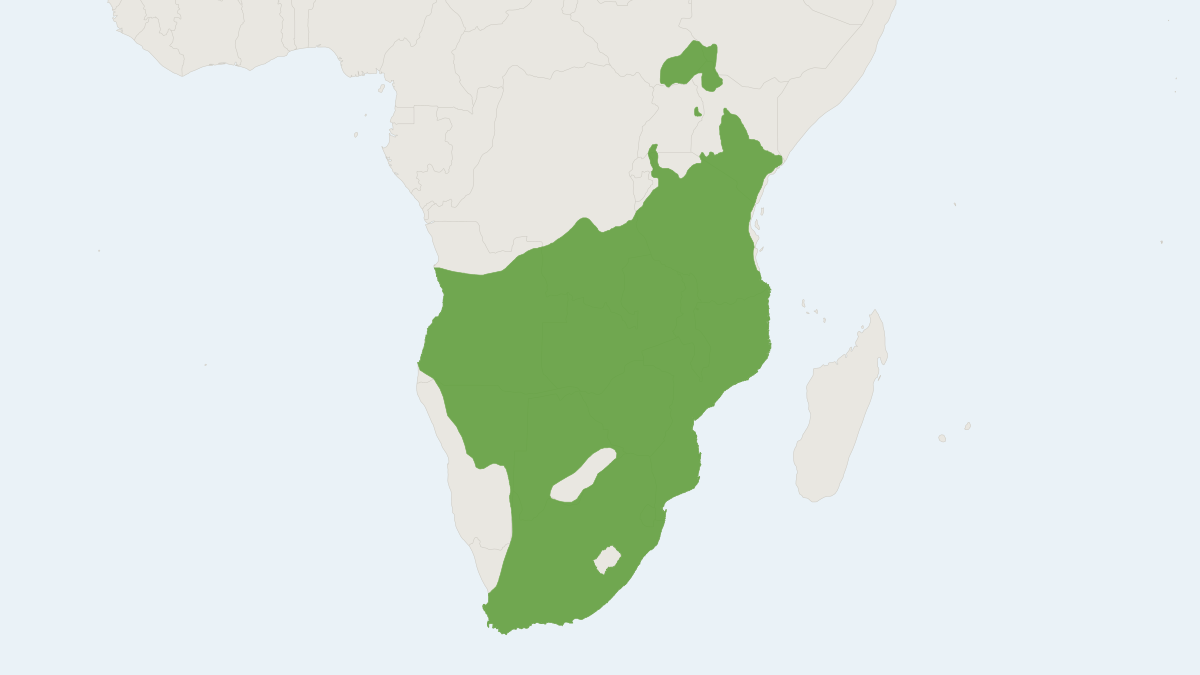 Range map of the Common Eland (Tragelaphus oryx) covering Angola, Botswana and Ethiopia