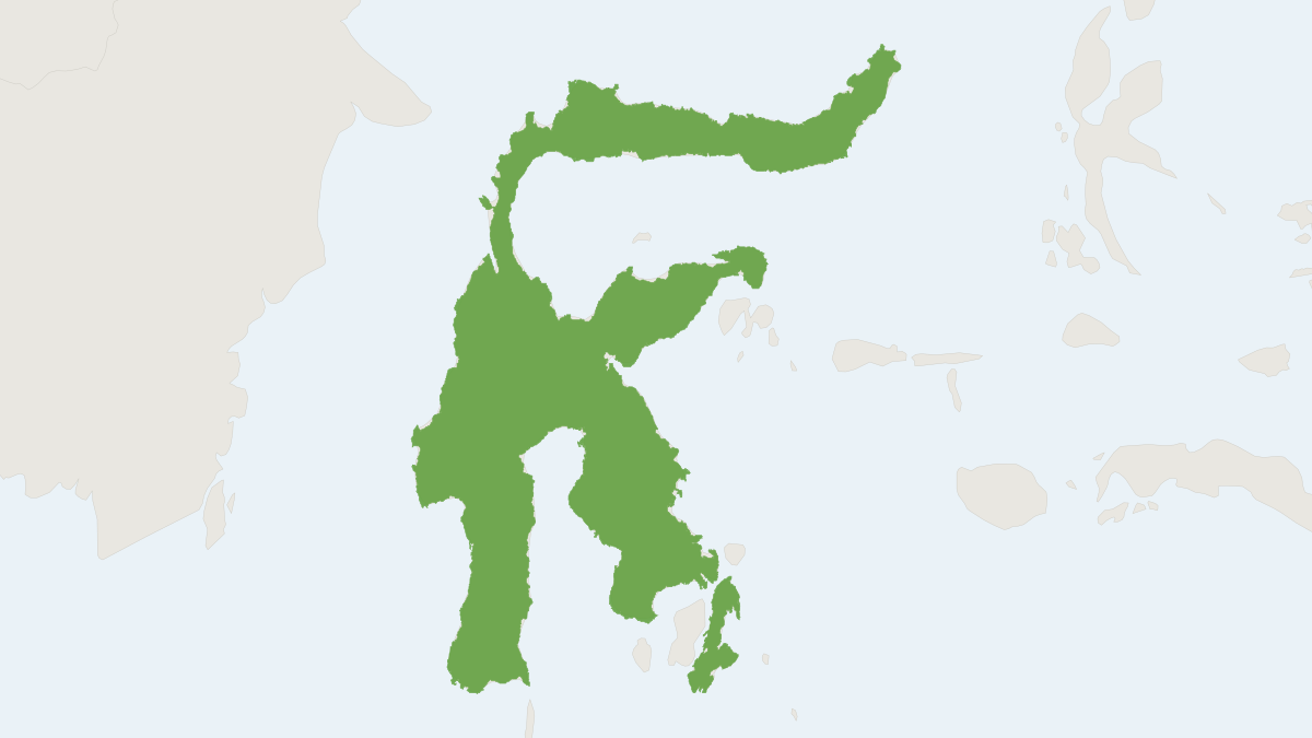 Range map of the Common Hill Rat (Bunomys chrysocomus) covering Indonesia