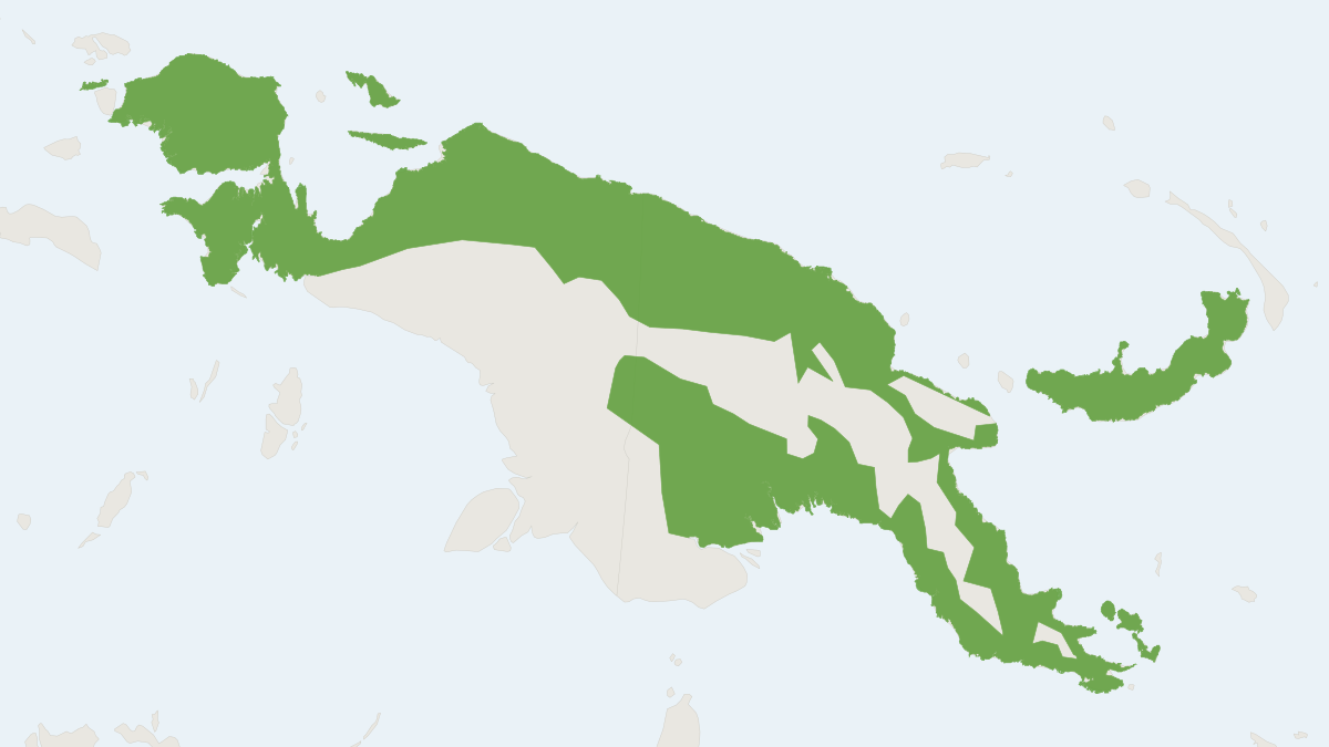 Range map of the Common Lowland Paramelomys (Paramelomys platyops)