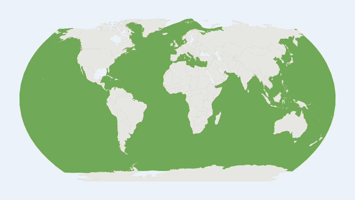 Range map of the Common Minke Whale (Balaenoptera acutorostrata) covering Antarctica, Australia and Iceland