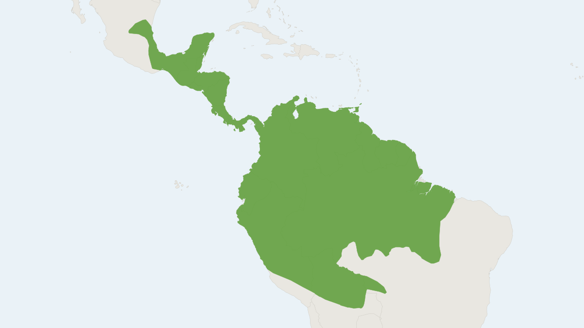 Range map of the Common Opossum (Didelphis marsupialis)