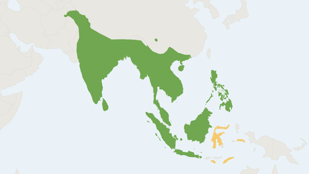 Range map of the Common Palm Civet (Paradoxurus hermaphroditus)