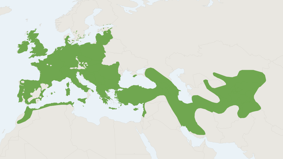 Range map of the Common Pipistrelle (Pipistrellus pipistrellus)