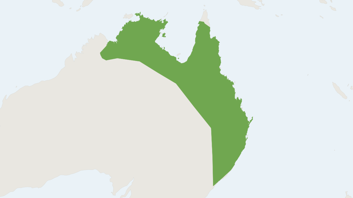 Range map of the Common Planigale (Planigale maculata)