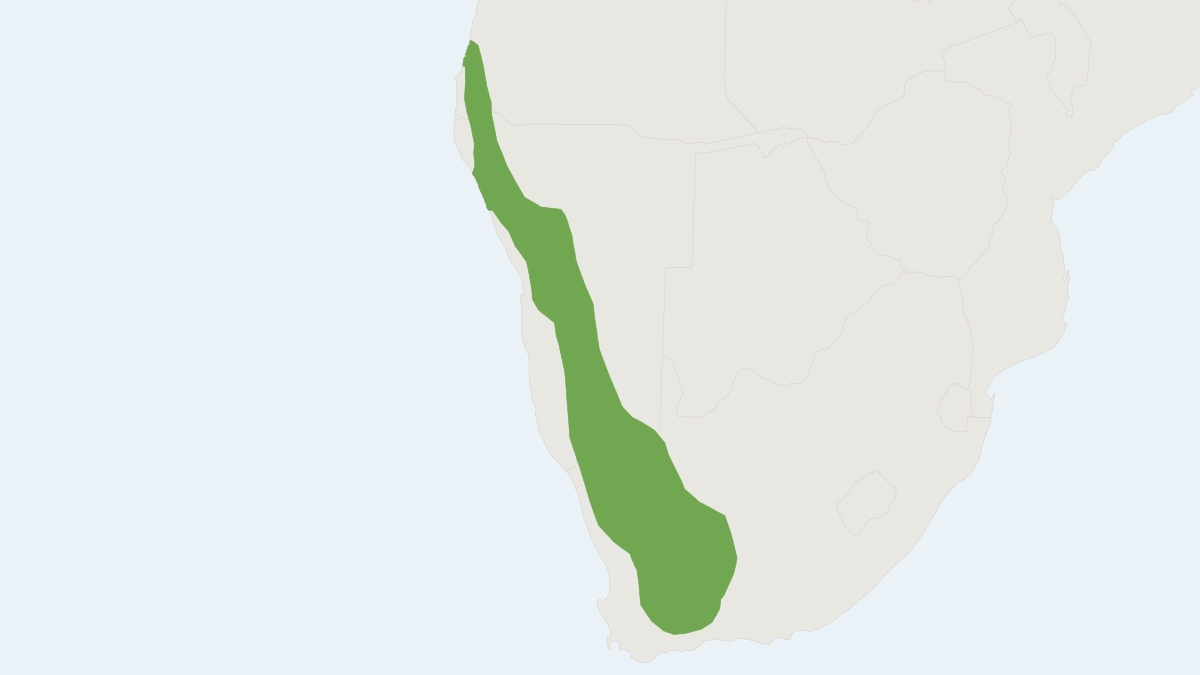 Range map of the Common Pygmy Rock Mouse (Petromyscus collinus)
