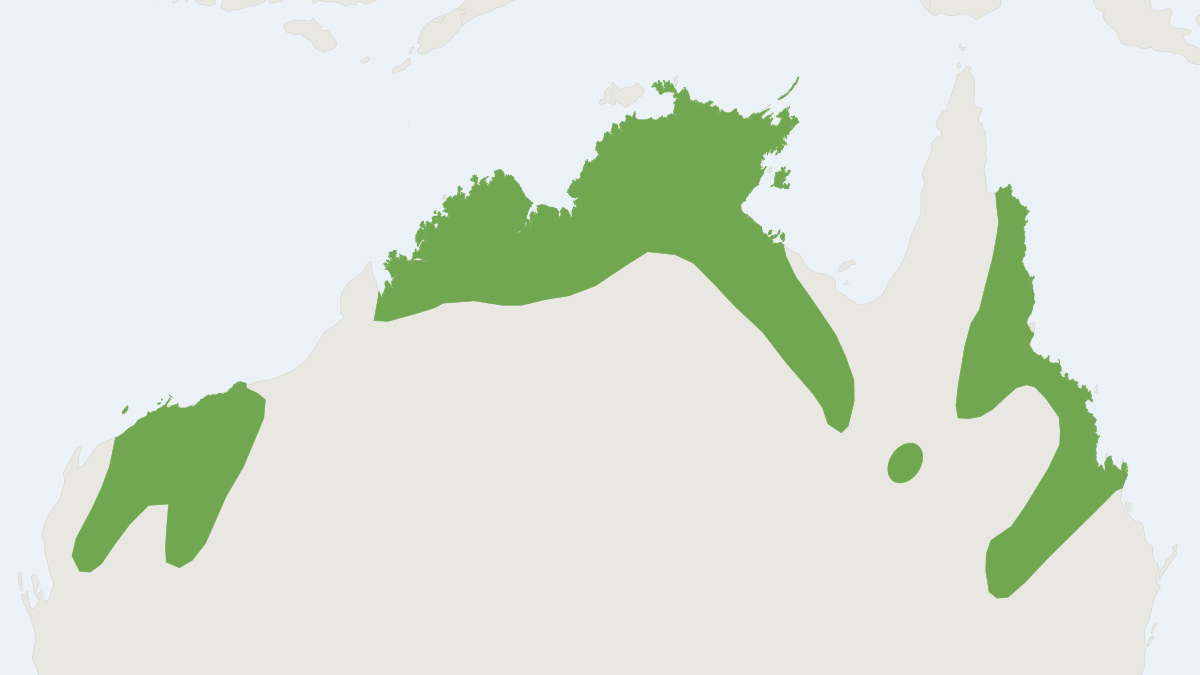 Range map of the Common Rock Rat (Zyzomys argurus)