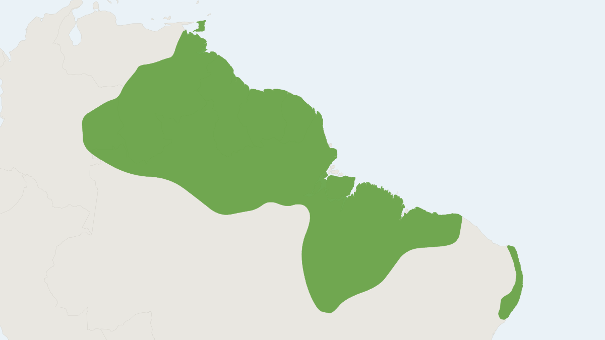 Range map of the Common Silky Anteater (Cyclopes didactylus)
