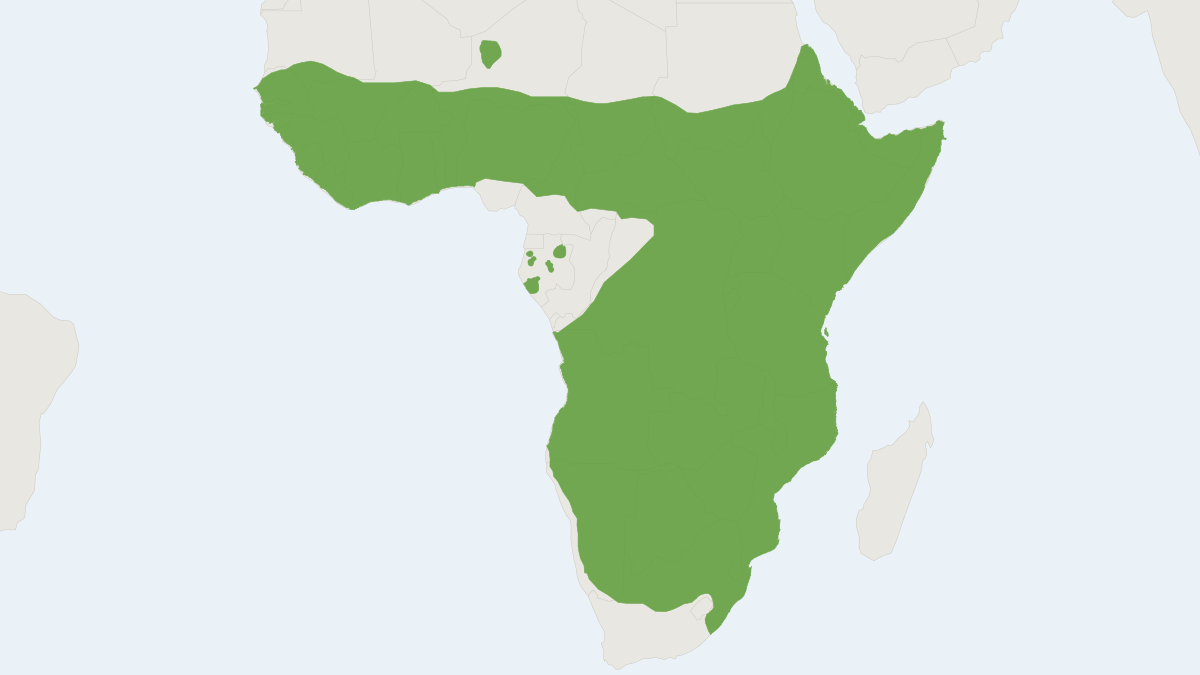 Range map of the Common Slender Mongoose (Herpestes sanguineus)