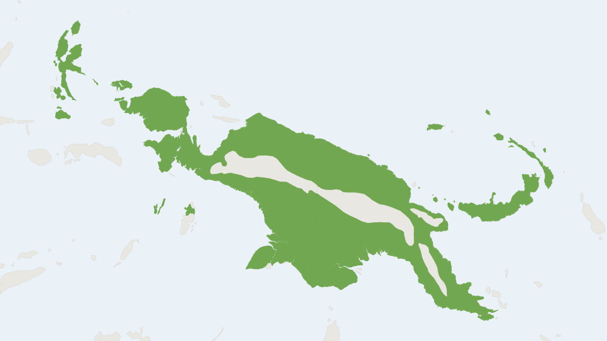 Range map of the Common Tube-nosed Fruit Bat (Nyctimene albiventer)