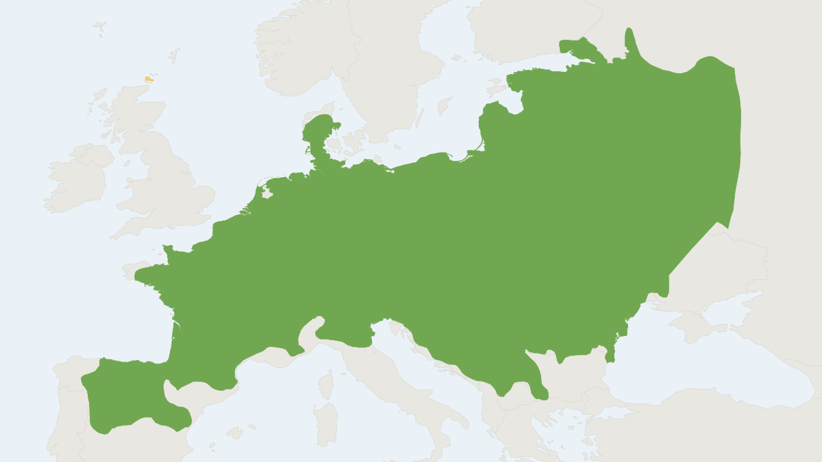 Range map of the Common Vole (Microtus arvalis)