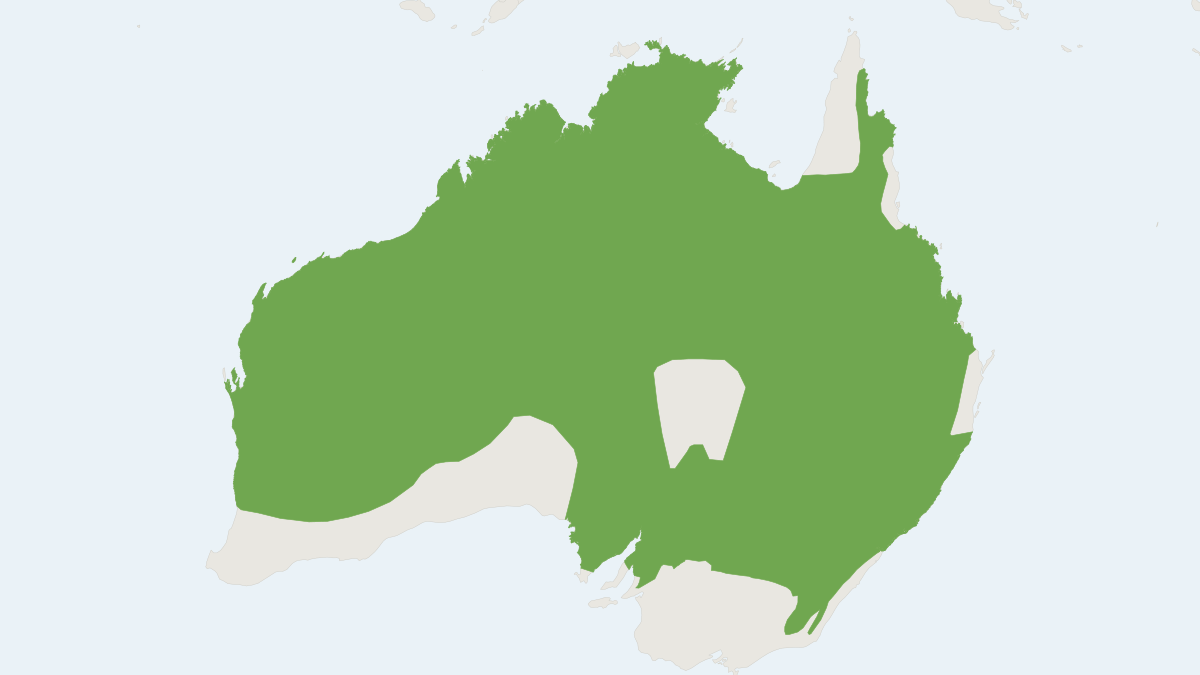 Range map of the Common Wallaroo (Osphranter robustus)