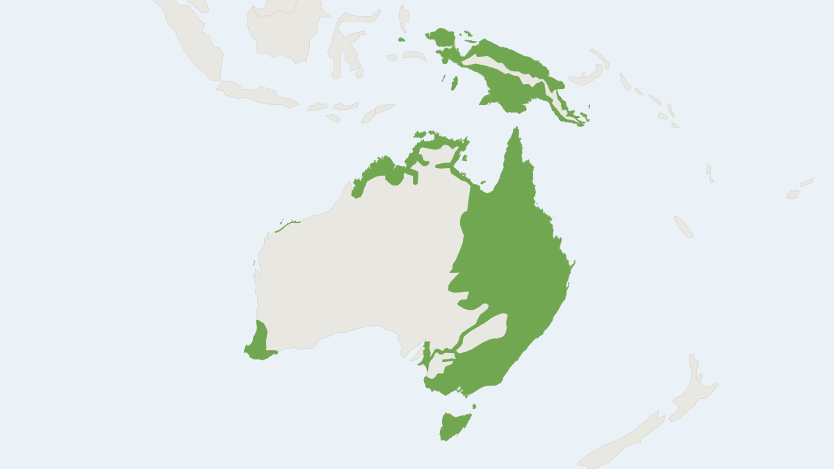 Range map of the Common Water Rat (Hydromys chrysogaster)