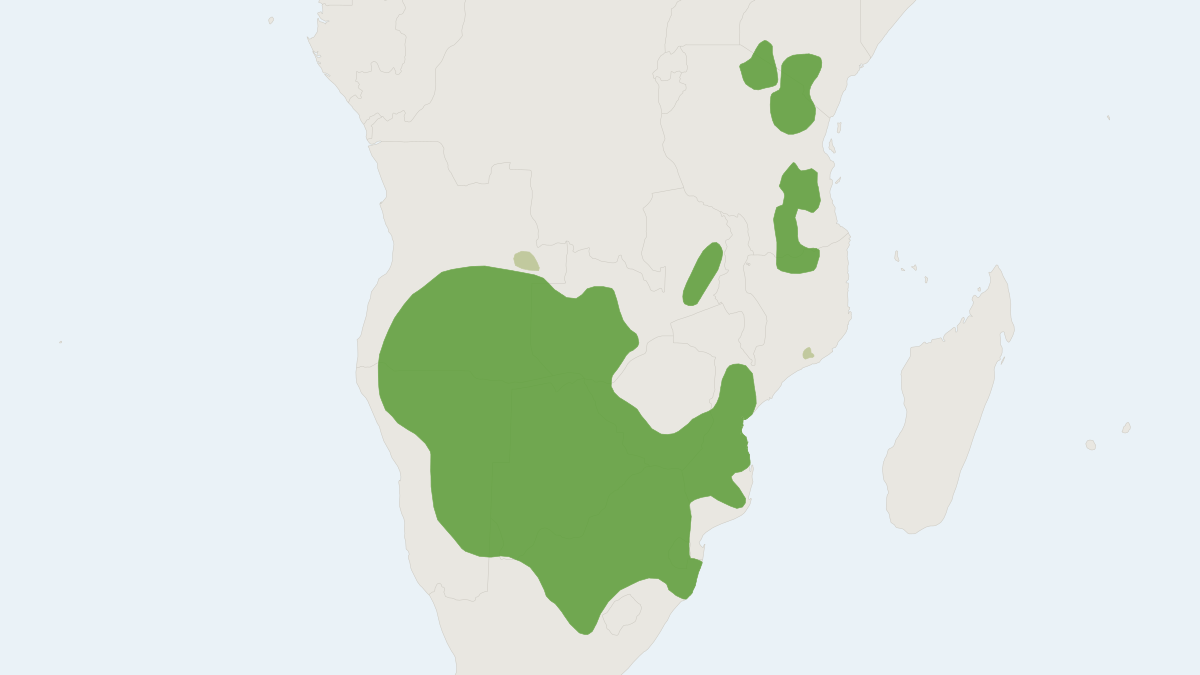 Range map of the Common Wildebeest (Connochaetes taurinus) covering Angola, Botswana and Kenya