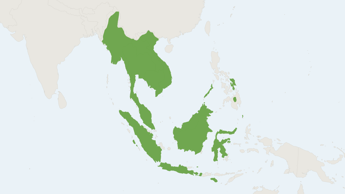 Range map of the Common Woolly Bat (Kerivoula hardwickii)