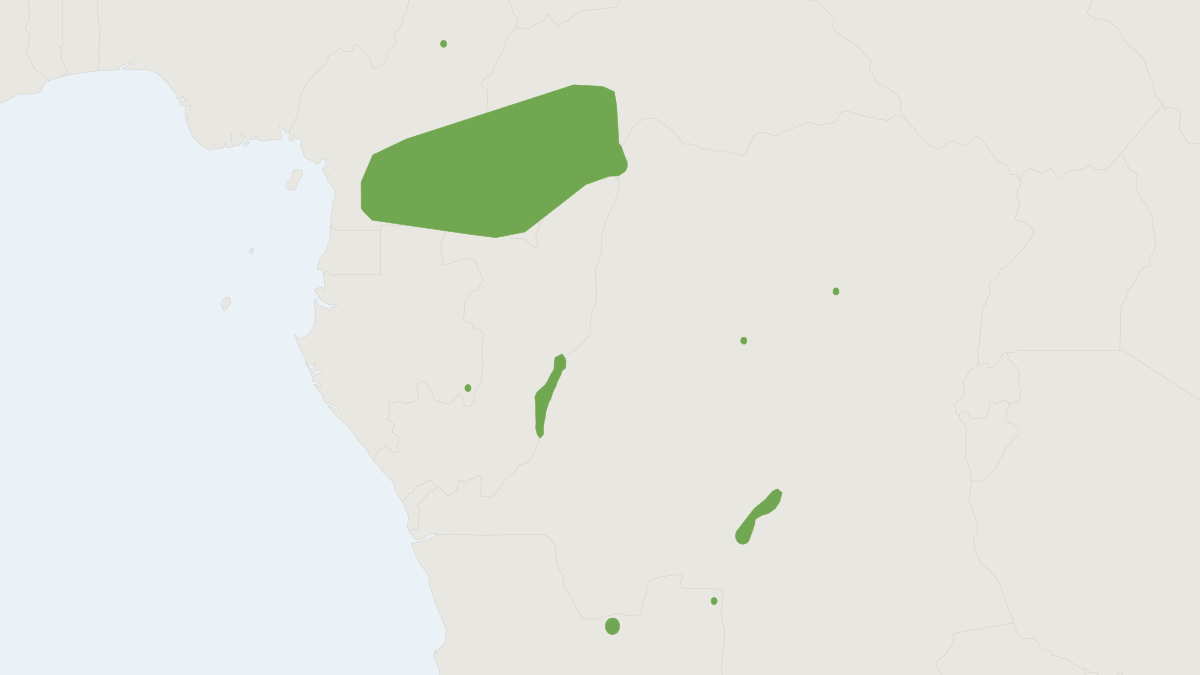 Range map of the Congo Golden Mole (Huetia leucorhina)