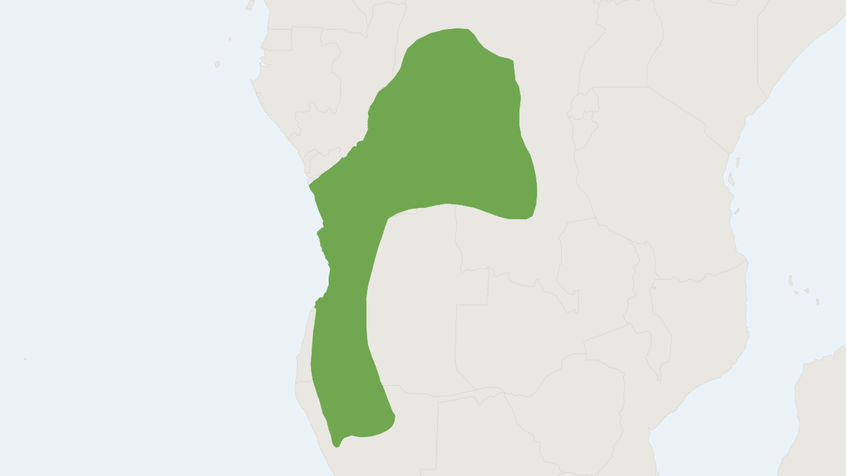 Range map of the Congo Rope Squirrel (Funisciurus congicus)