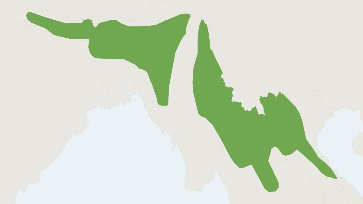 Range map of the Cook's Mouse (Mus cookii)