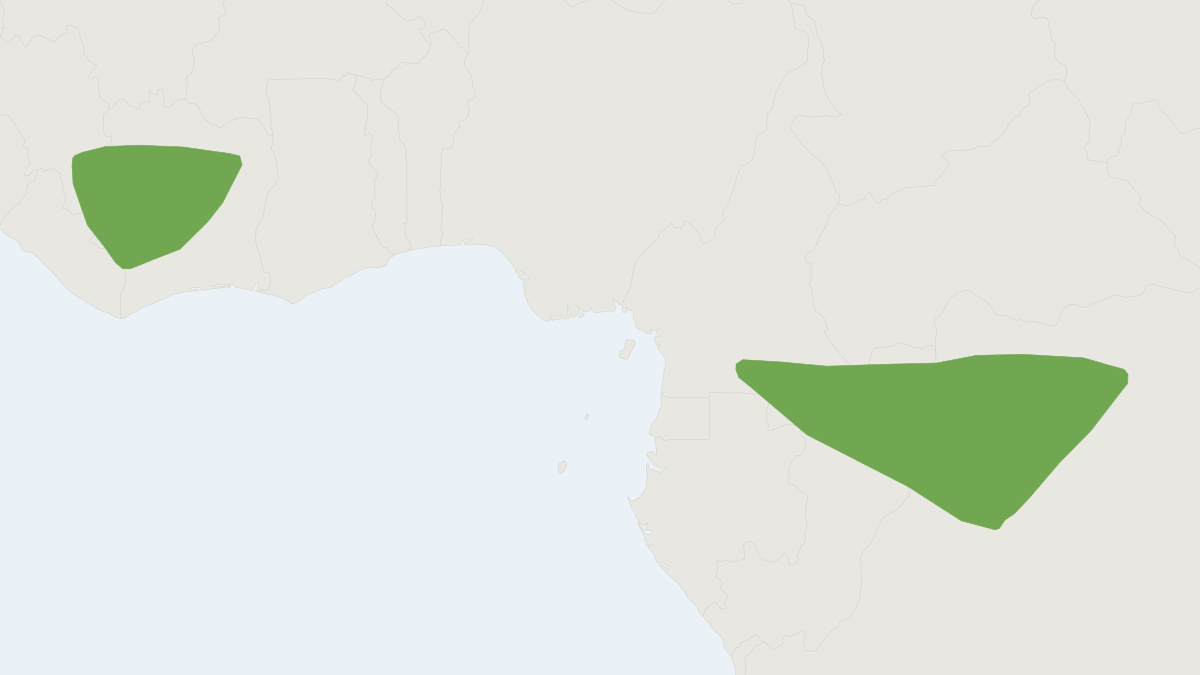 Range map of the Copper Woolly Bat (Kerivoula cuprosa)