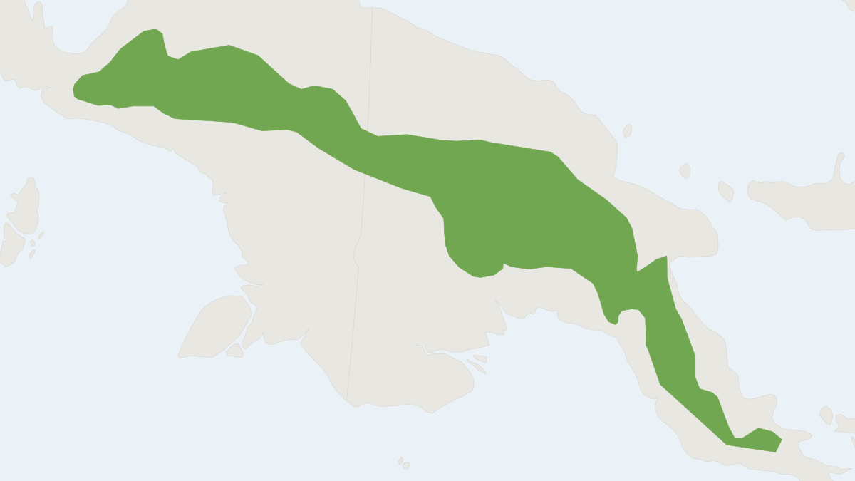 Range map of the Coppery Ringtail (Pseudochirops cupreus)