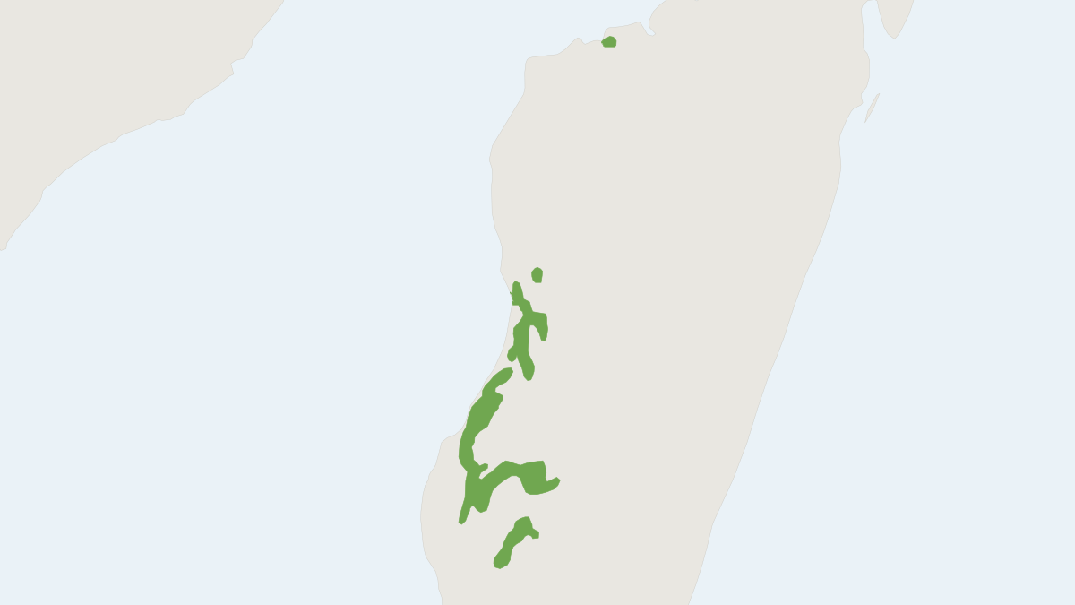 Range map of the Coquerel's Giant Mouse Lemur (Mirza coquereli)