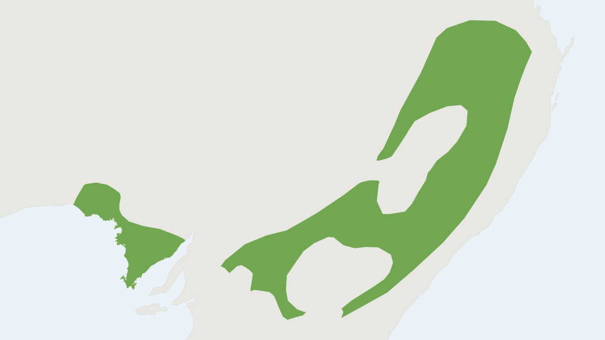 Range map of the Corben's Long-eared Bat (Nyctophilus corbeni)