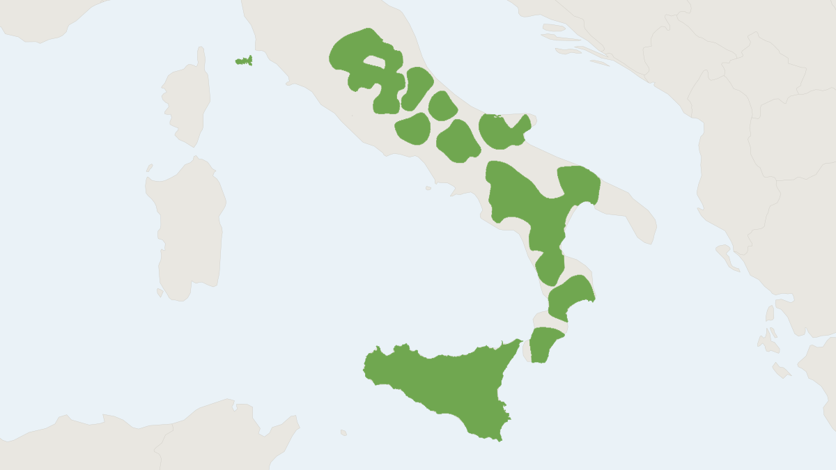 Range map of the Corsican Hare (Lepus corsicanus)