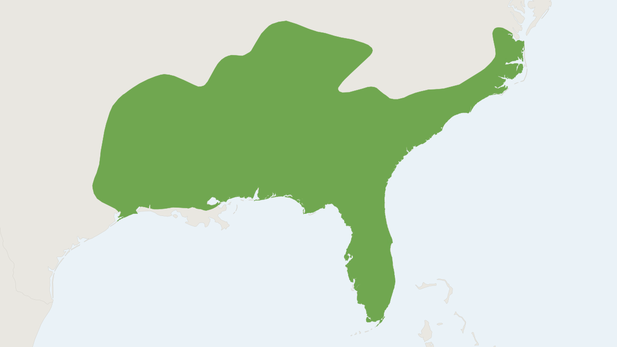 Range map of the Cotton Deermouse (Peromyscus gossypinus)