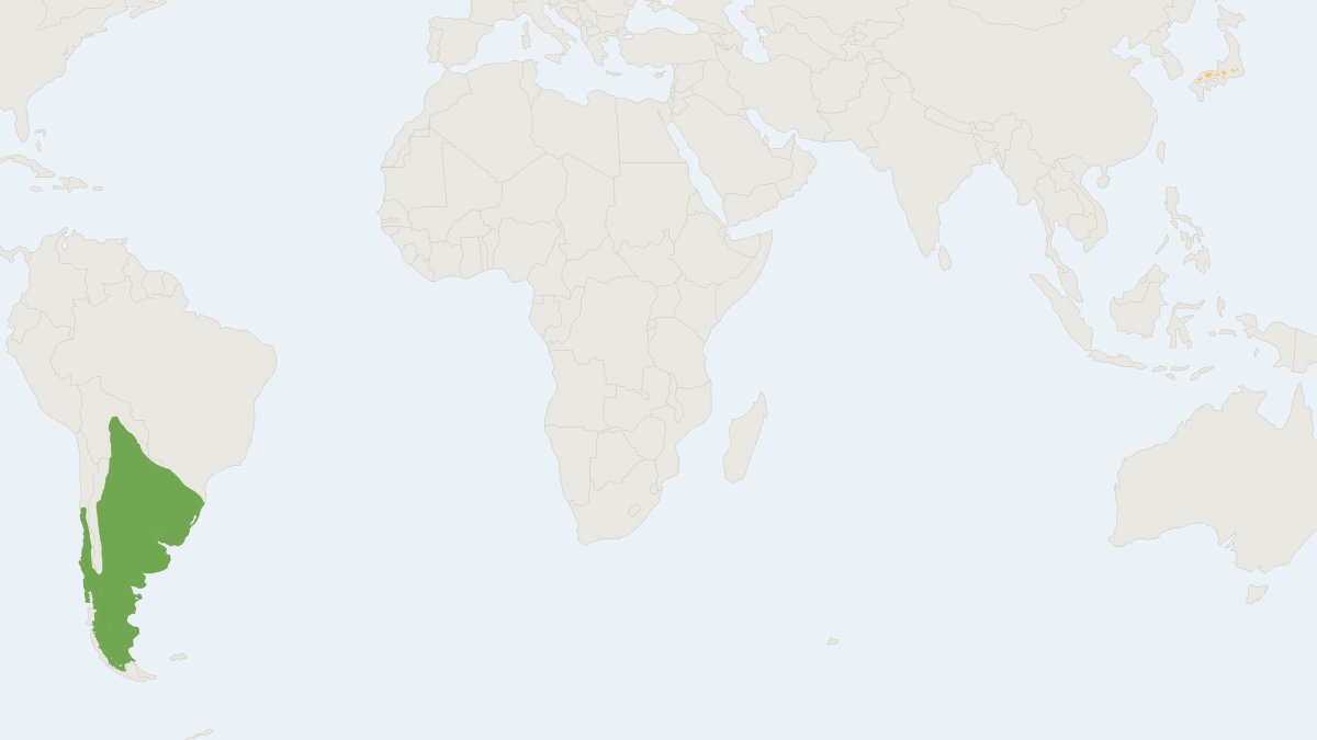 Range map of the Coypu (Myocastor coypus)