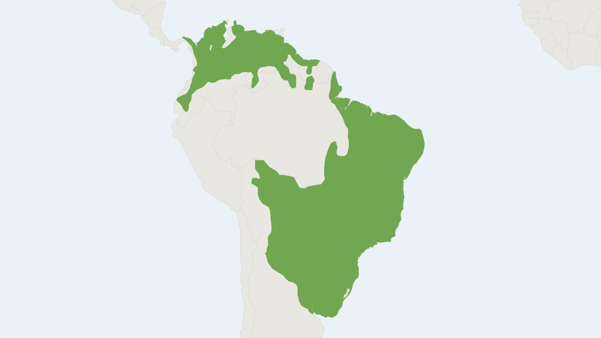 Range map of the Crab-eating Fox (Cerdocyon thous) covering Argentina, Bolivia and Brazil