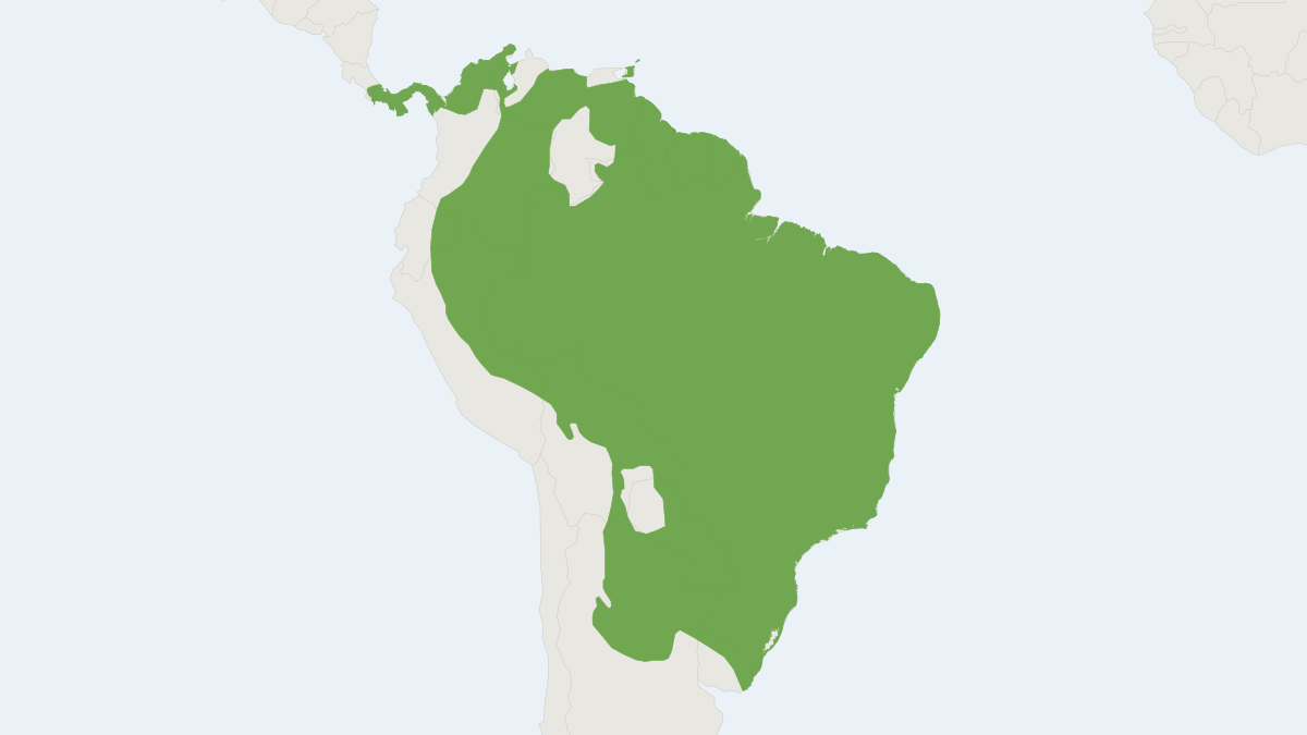 Range map of the Crab-eating Raccoon (Procyon cancrivorus)