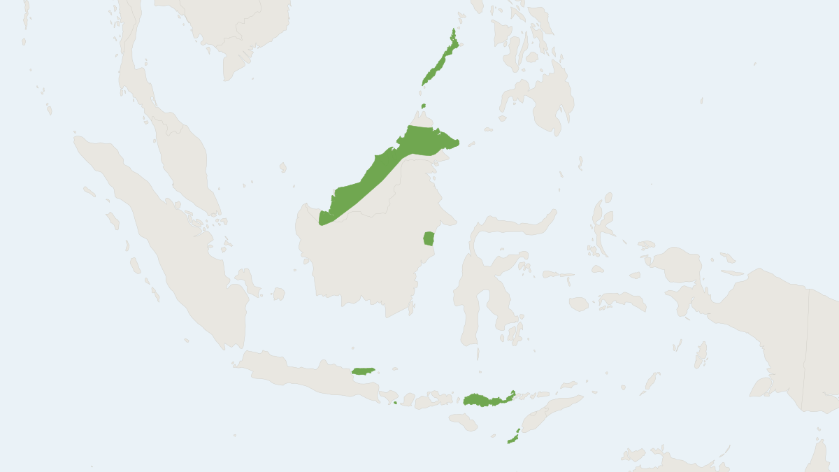 Range map of the Creagh's Horseshoe Bat (Rhinolophus creaghi)