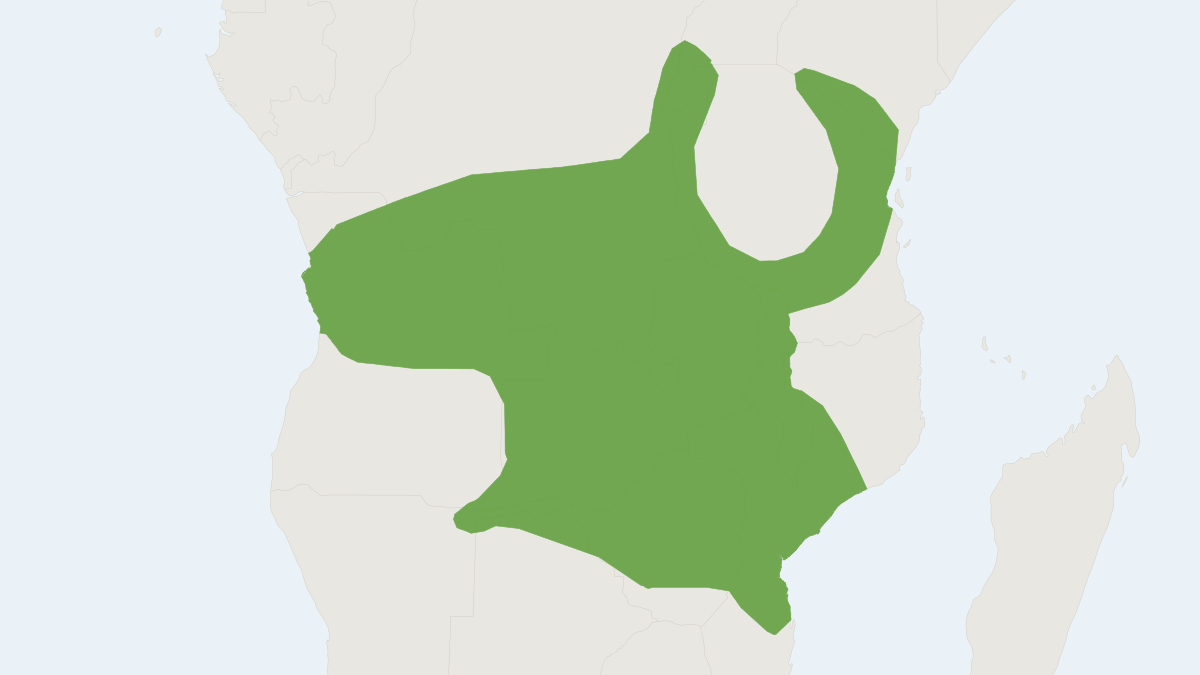 Range map of the Creek Groove-toothed Swamp Rat (Pelomys fallax)