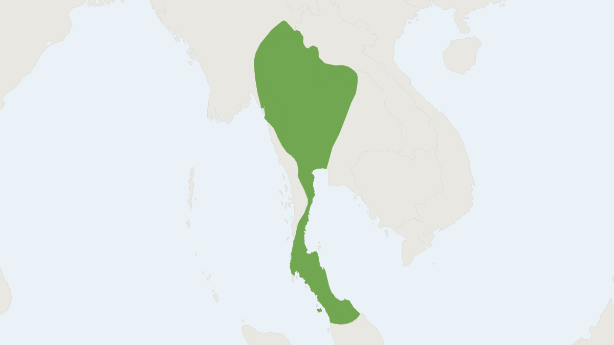 Range map of the Croslet Horseshoe Bat (Rhinolophus coelophyllus)