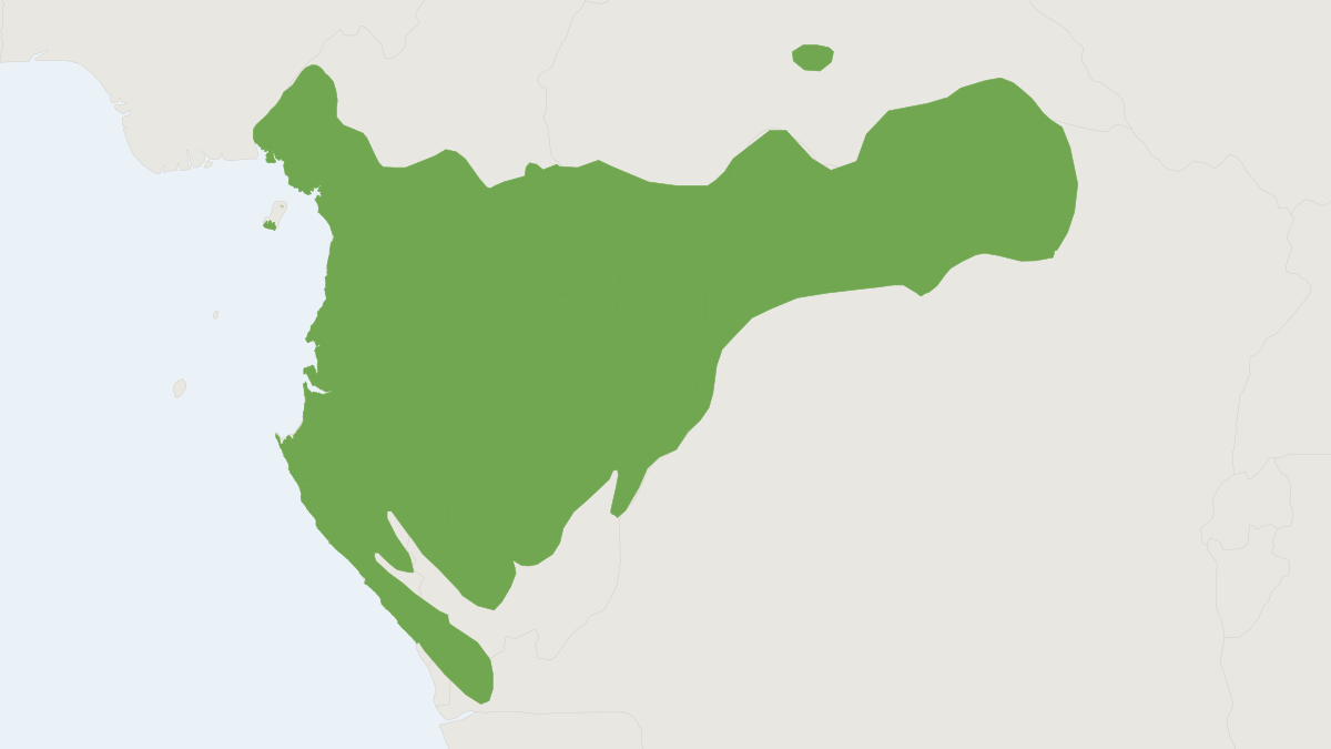 Range map of the Crowned Monkey (Cercopithecus pogonias)