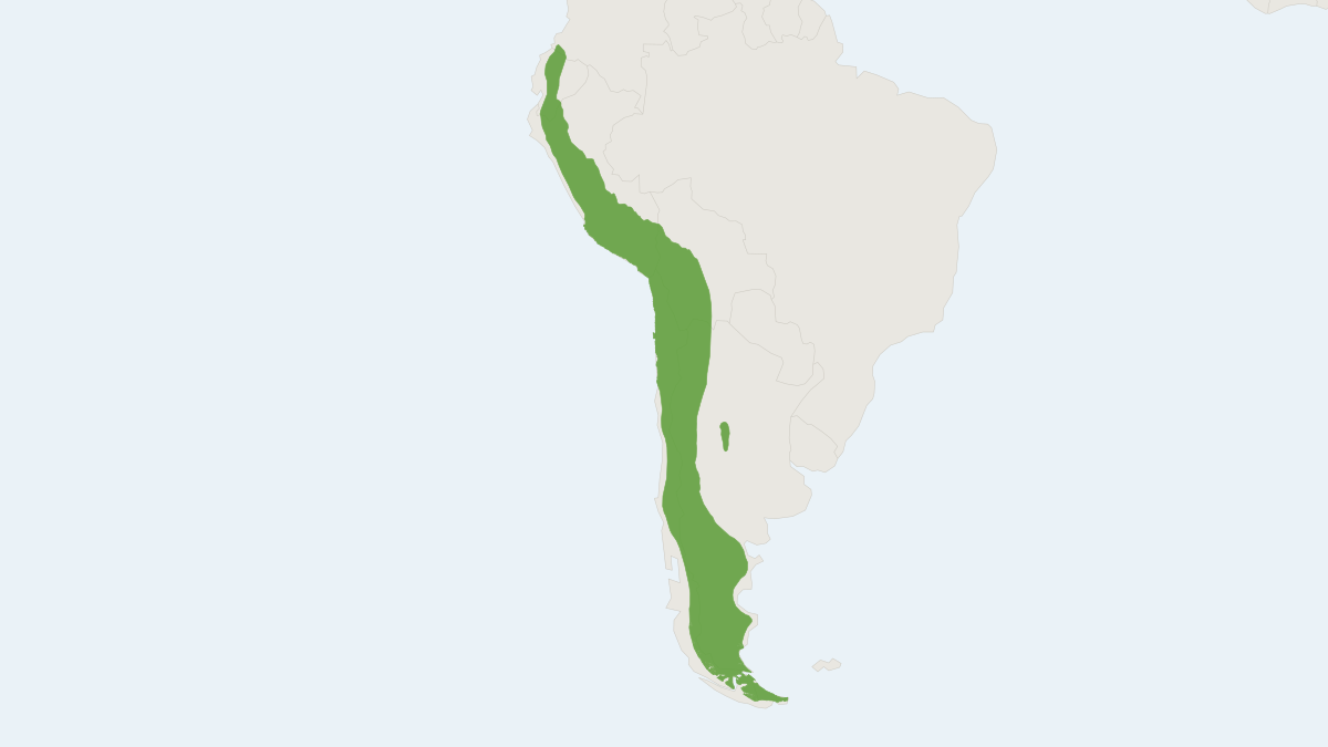 Range map of the Culpeo (Lycalopex culpaeus)