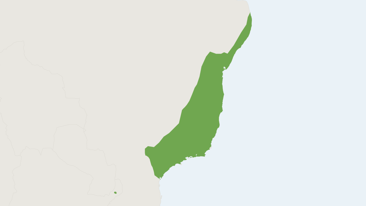 Range map of the Cursor Grass Mouse (Akodon cursor) covering Brazil