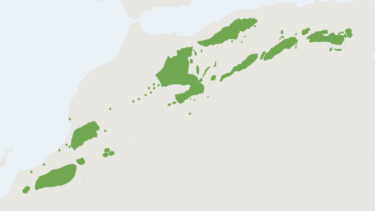 Range map of the Cuvier's Gazelle (Gazella cuvieri)